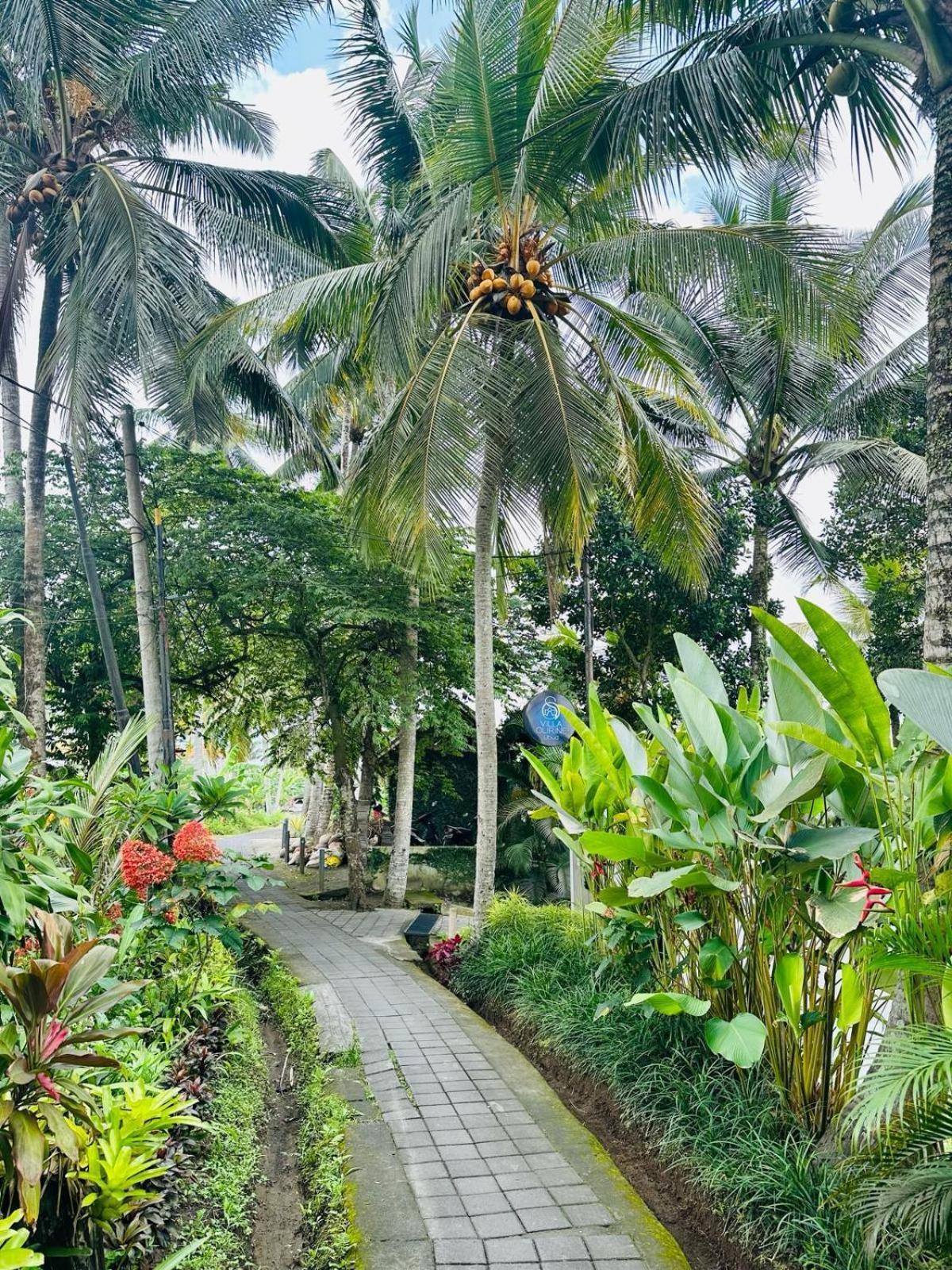Villa Olirine By Balisuperhost Ubud Eksteriør bilde